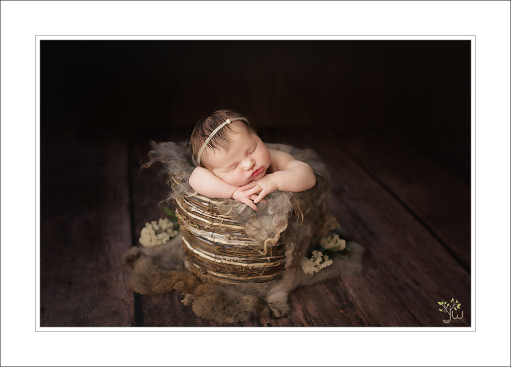Best Auburn newborn photographer